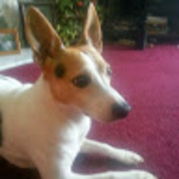 Meet your Posher, Ann - Picture 1 of 1